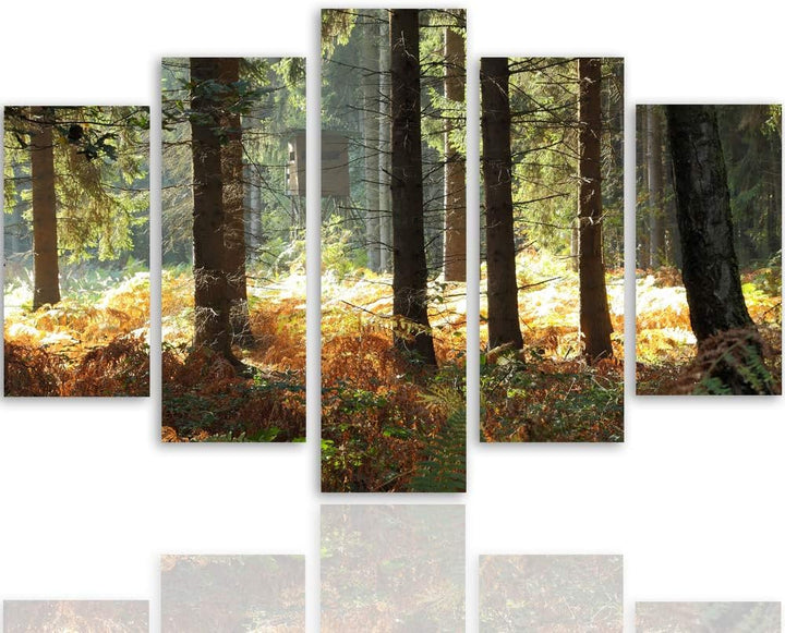 Feeby Leinwandbild Natur 5 TLG Bild Kunstdruck Wald Bäume Landschaft bunt 100x70 cm Leinwandbild 100