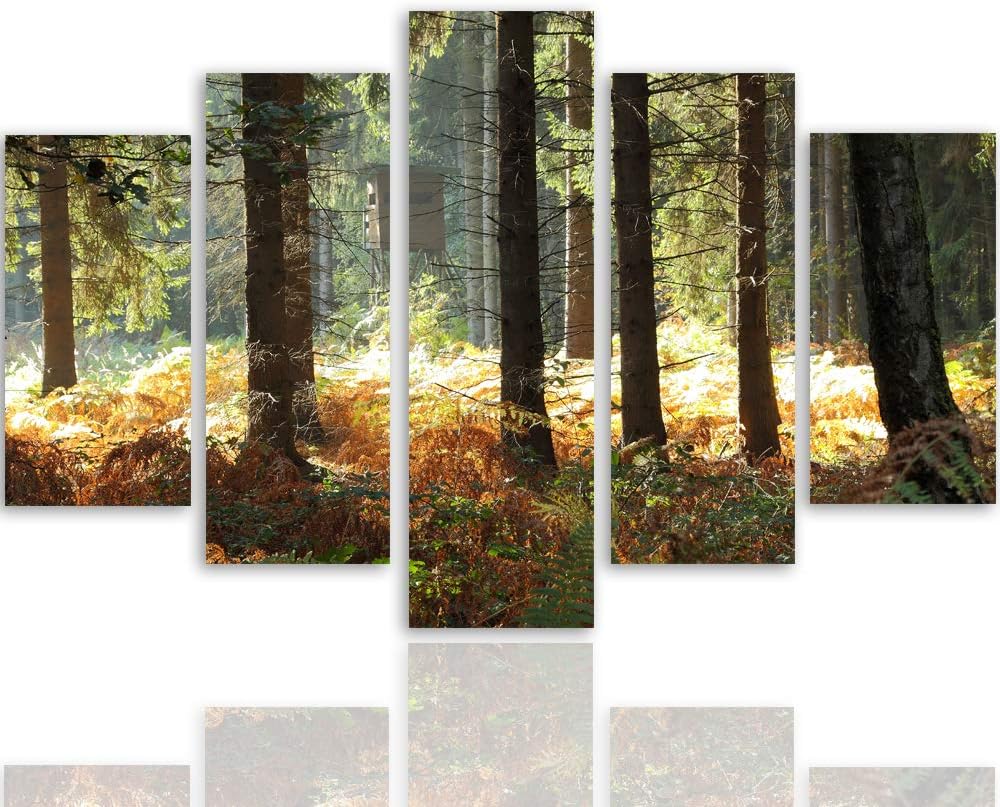 Feeby Wandbild XXL 5 Teilig Natur Leinwandbild Wald Bäume Landschaft bunt 300x140 cm Leinwandbild 30