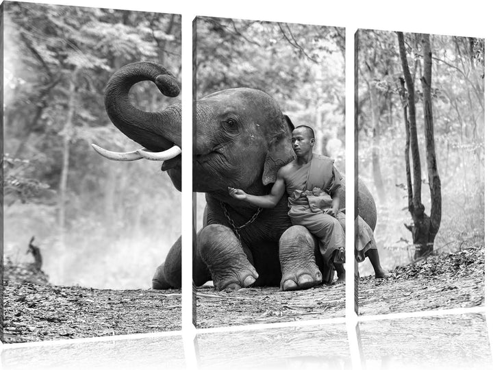 Pixxprint Mönch mit Elefanten im Wald / 3-Teilig/Gesamtmass 120cm Leinwandbild bespannt auf Holzrahm