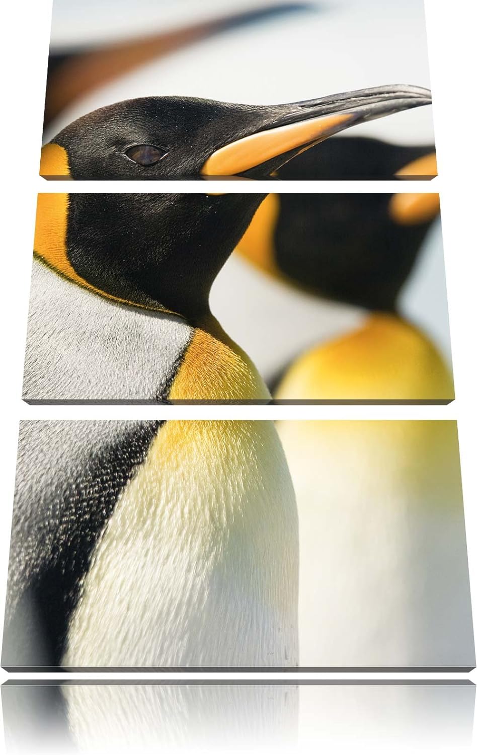 Pixxprint Pinguine 3-Teiler Leinwandbild 120x80 Bild auf Leinwand