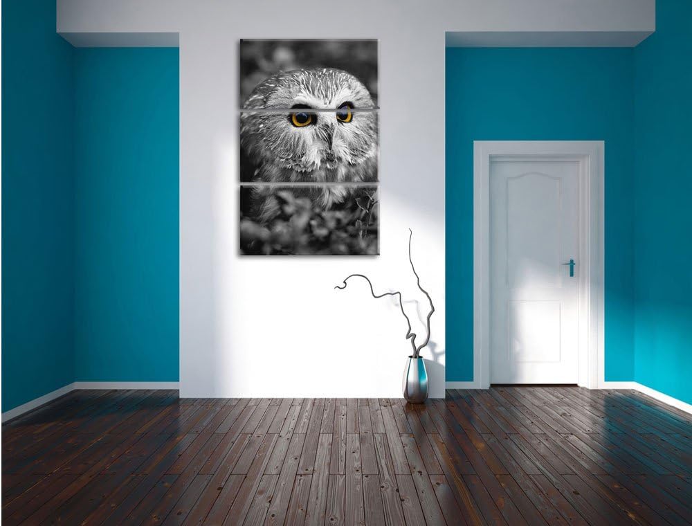 Pixxprint junger Kauz im Vogelbeerstrauch schwarz/weiss 3-Teiler Leinwandbild 120x80 Bild auf Leinwa