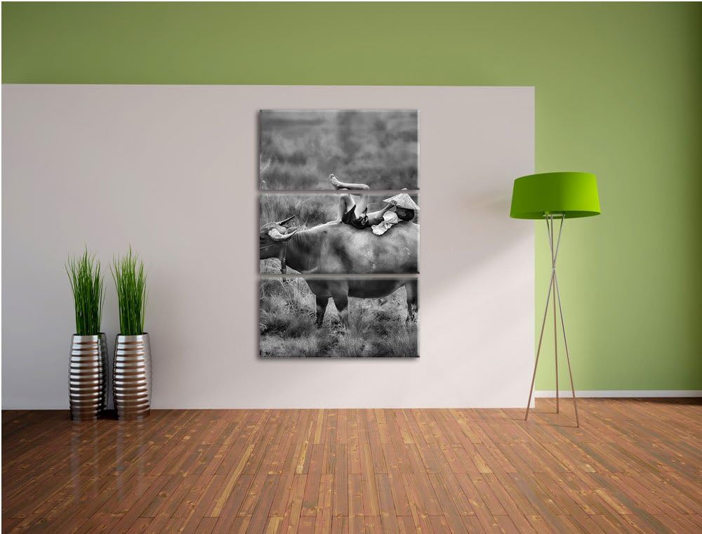 Pixxprint Monocrome, Wasserbüffel trägt Kind 3-Teiler Leinwandbild 120x80 Bild auf Leinwand