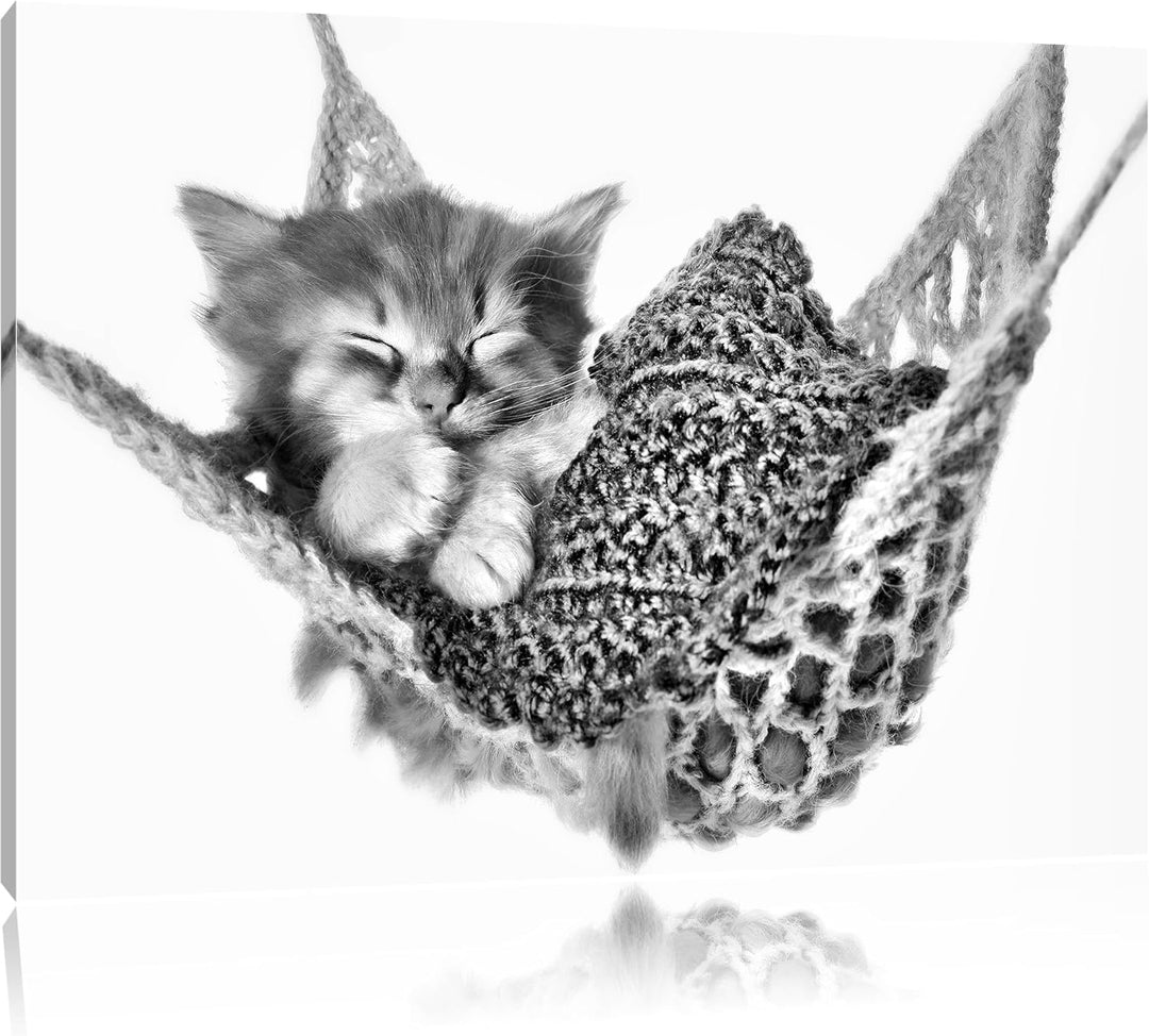 Pixxprint Katzenbaby Hängematte als Leinwandbild/Grösse: 100x70 / Wandbild/Kunstdruck/fertig bespann