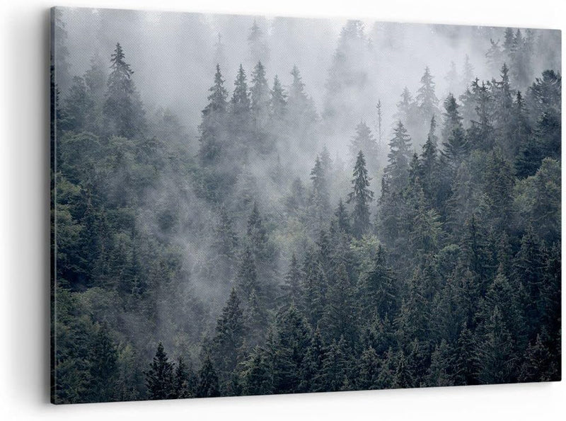 Bilder auf Leinwand 100x70cm Leinwandbild mit Rahmen Wald Baum Natur Gross Wanddeko Bild Schlafzimme