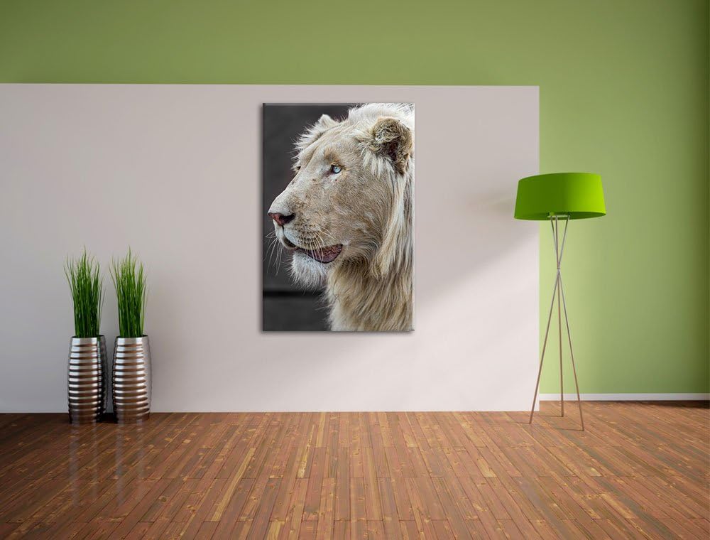 stolzer weisser Löwe schwarz/weiss auf Leinwand, XXL riesige Bilder fertig gerahmt mit Keilrahmen, K