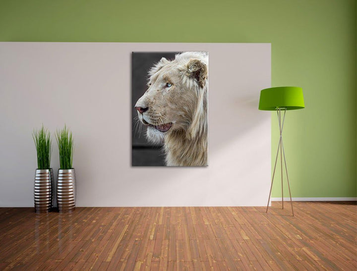 stolzer weisser Löwe schwarz/weiss auf Leinwand, XXL riesige Bilder fertig gerahmt mit Keilrahmen, K