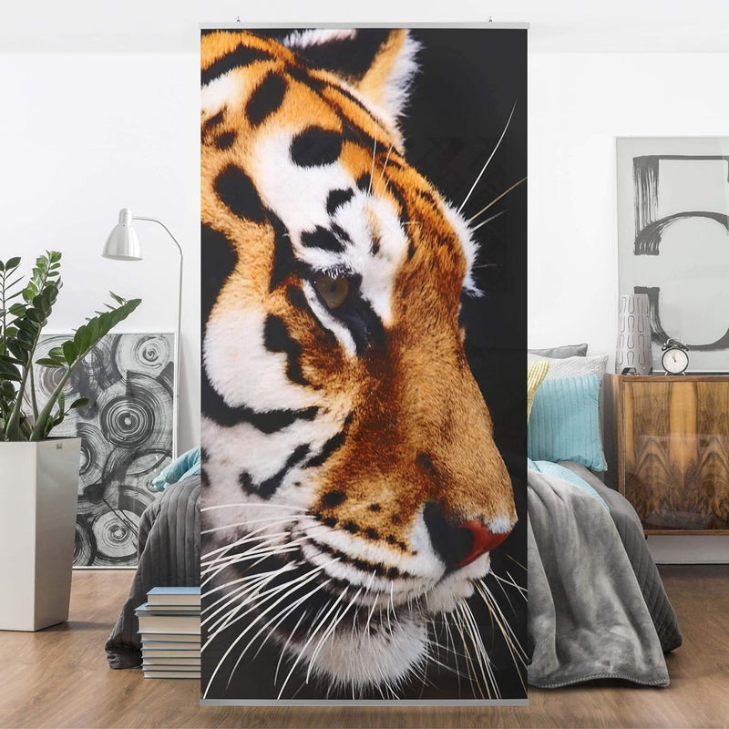 Bilderwelten Raumteiler Tiger Schönheit 250x120cm ohne Halterung 250x120cm without hanger, 250x120cm