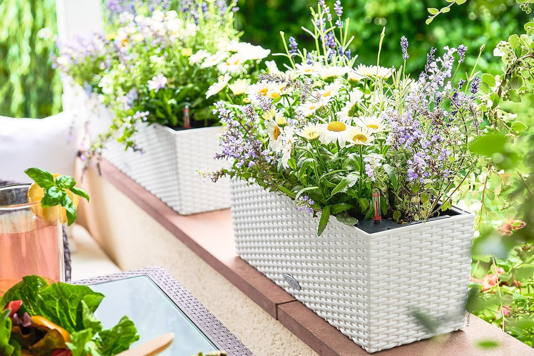 LECHUZA BALCONERA Cottage 50 weiss 15600 Garten 50x19x19 cm Weiss, Garten 50x19x19 cm Weiss