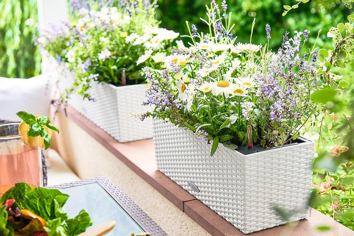 LECHUZA BALCONERA Cottage 50 weiss 15600 Garten 50x19x19 cm Weiss, Garten 50x19x19 cm Weiss