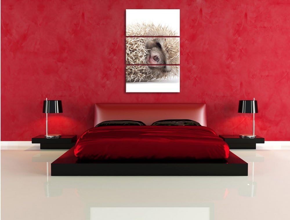 Pixxprint kleines niedliches Igel Baby als Leinwandbild/Grösse: 3 Teilig (120x80) cm/Wandbild/Kunstd
