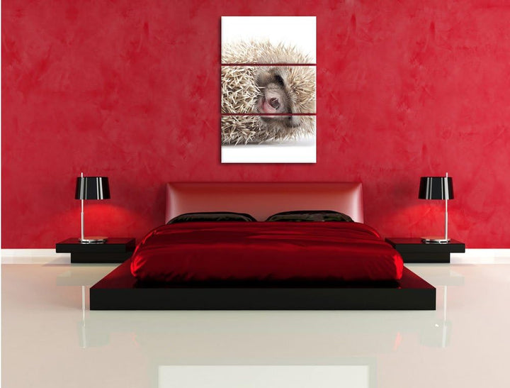 Pixxprint kleines niedliches Igel Baby als Leinwandbild/Grösse: 3 Teilig (120x80) cm/Wandbild/Kunstd