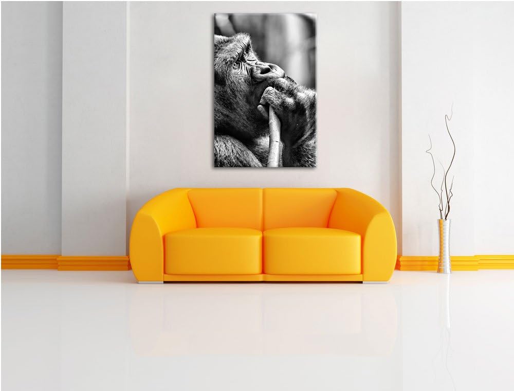 Monocrome, Gorilla isst, Format: 100x70 auf Leinwand, XXL riesige Bilder fertig gerahmt mit Keilrahm