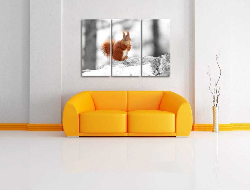 niedliches Eichhörnchen in verschneitem Wald schwarz/weiss 3-Teiler Leinwandbild 120x80 Bild auf Lei