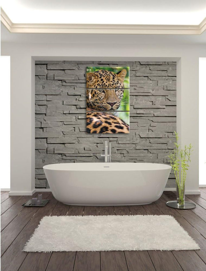 Pixxprint aufmerksamer Leopard im Schatten als Leinwandbild/Grösse: 3 Teilig (120x80) cm/Wandbild/Ku