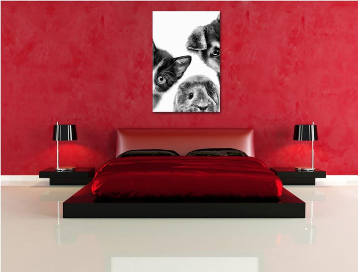 Pixxprint Trio Hund Katze Meerschwein / 100x70cm Leinwandbild bespannt auf Holzrahmen/Wandbild Kunst