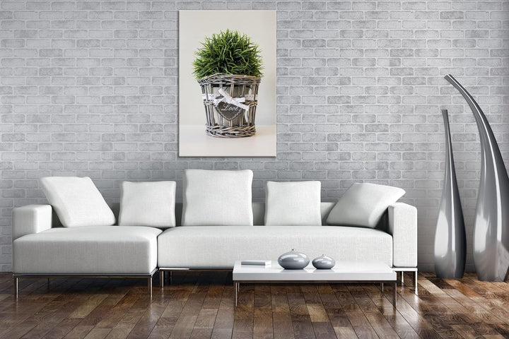deyoli Schilf im Blumentopf im Format: 60x40 als Leinwandbild, Motiv fertig gerahmt auf Echtholzrahm