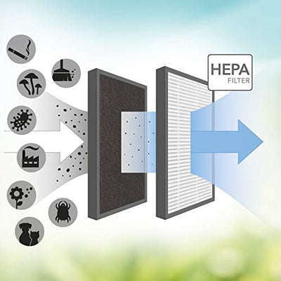TROTEC Carbon-HEPA-Filter (95% Filterleistung) für Luftreiniger AirgoClean 15 E