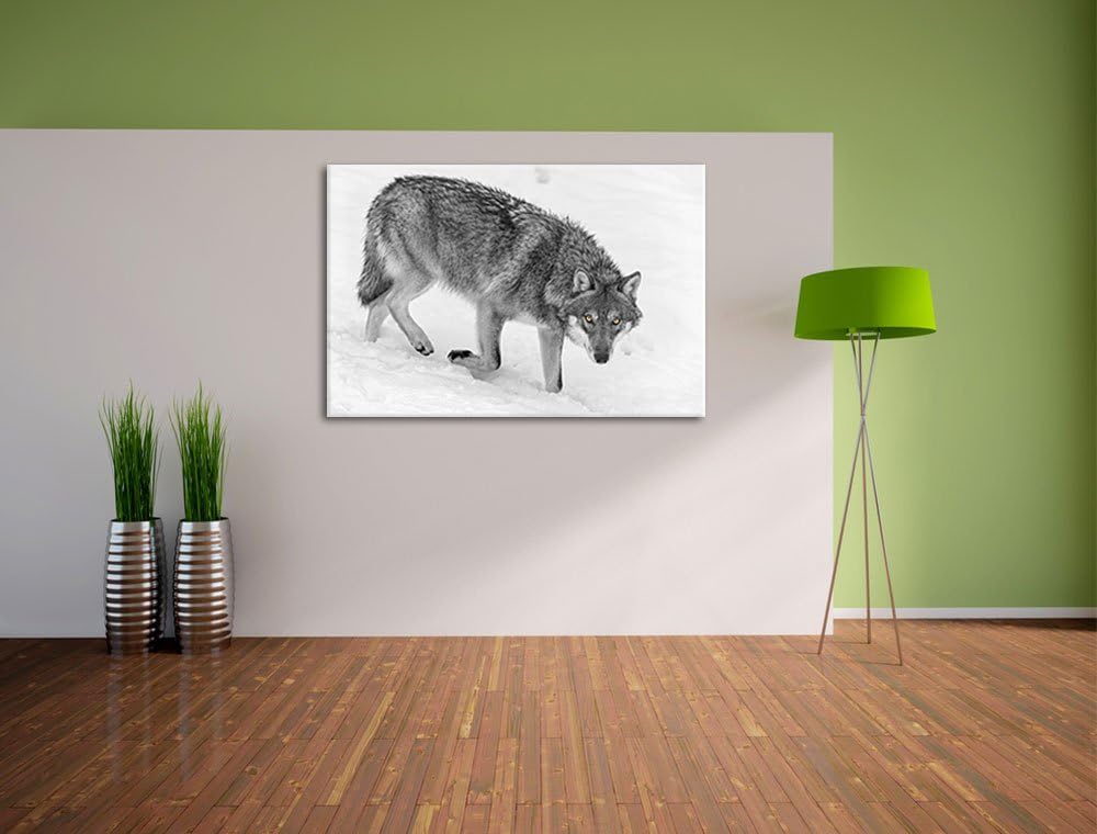 seltener Wolf im Schnee schwarz/weiss auf Leinwand, XXL riesige Bilder fertig gerahmt mit Keilrahmen