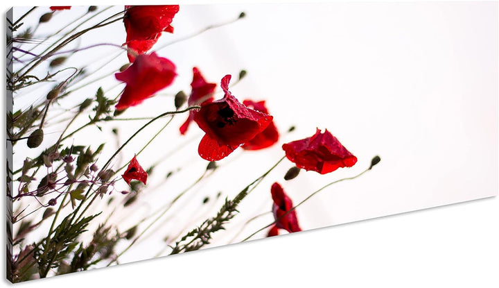 Roter Mohn Panorama 100x50 cm als Leinwandbild, Motiv fertig gerahmt auf Echtholzrahmen, Hochwertige