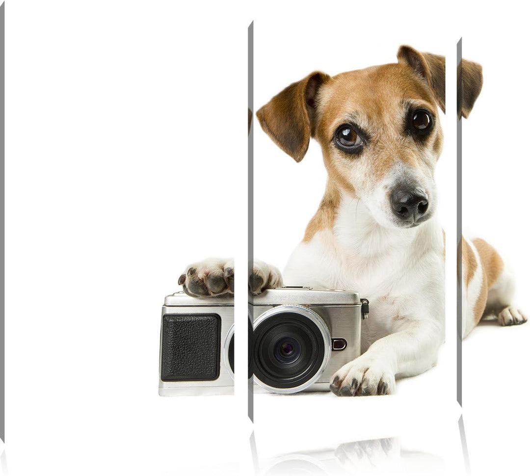 Pixxprint Niedlicher Hundewelpe mit Kamera 3-Teiler Leinwandbild 120x80 Bild auf Leinwand, riesige B