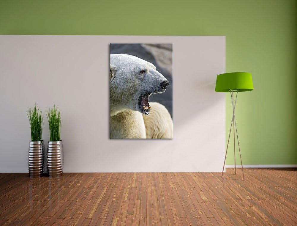 Pixxprint brüllender Eisbär auf Leinwand, XXL riesige Bilder fertig gerahmt mit Keilrahmen, Kunstdru