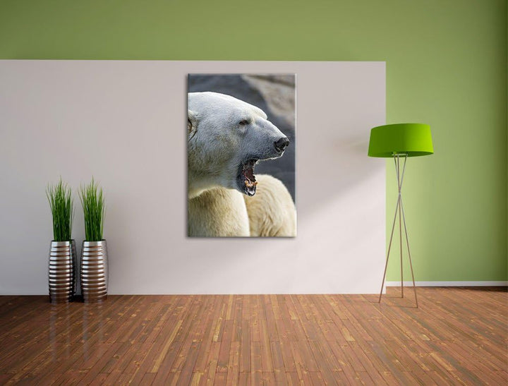 Pixxprint brüllender Eisbär auf Leinwand, XXL riesige Bilder fertig gerahmt mit Keilrahmen, Kunstdru