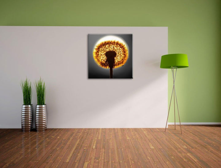 Pixxprint Pusteblume vor untergehender Sonne als Leinwandbild Quadratisch/Grösse: 70x70 / Wandbild/K
