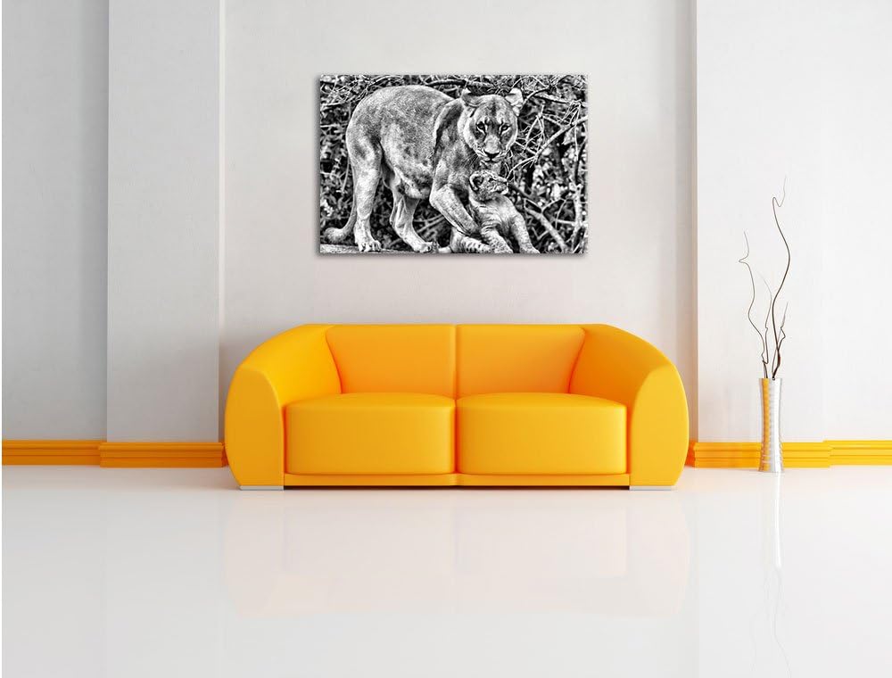 Pixxprint Löwin spielt mit Jungtier als Leinwandbild/Grösse: 100x70 / Wandbild/Kunstdruck/fertig bes