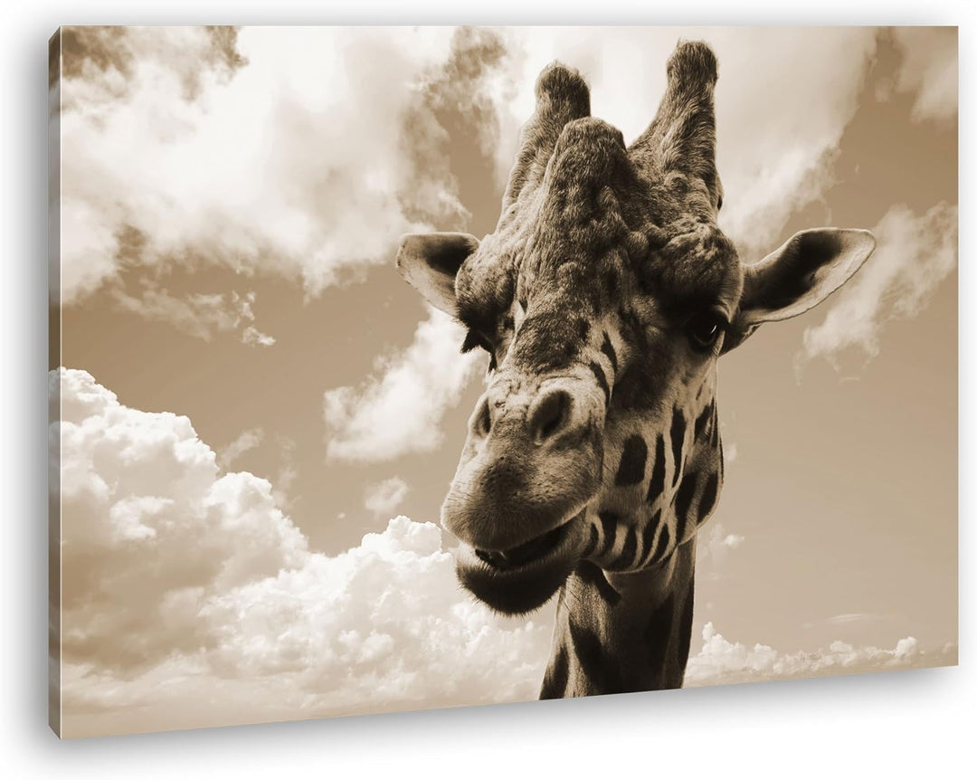 deyoli Fotogene Giraffe Format: 80x60 Effekt: Sepia als Leinwandbild, Motiv fertig gerahmt auf Echth