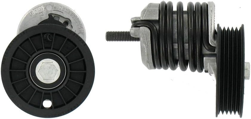 SKF VKM 31034 Spannrolle, Keilrippenriemen