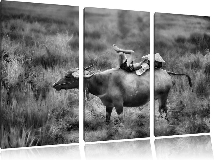 Pixxprint Monocrome, Wasserbüffel trägt Kind 3-Teiler Leinwandbild 120x80 Bild auf Leinwand