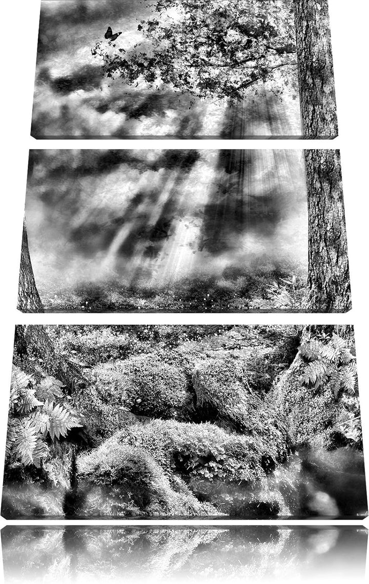 Pixxprint Monocrome, Baumwurzel und Schmetterling 3-Teiler Leinwandbild 120x80 Bild auf Leinwand