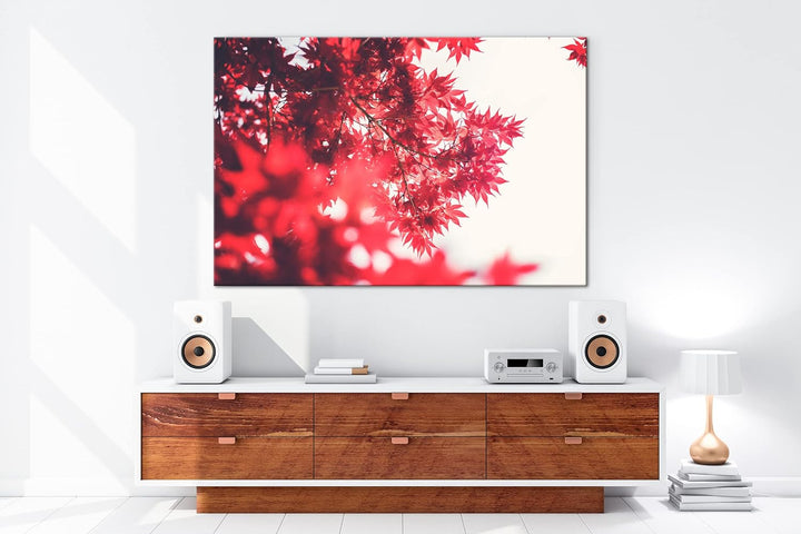 deyoli durch das rotschimmernde Blättergestrüpp Format: 80x60 als Leinwandbild, Motiv fertig gerahmt