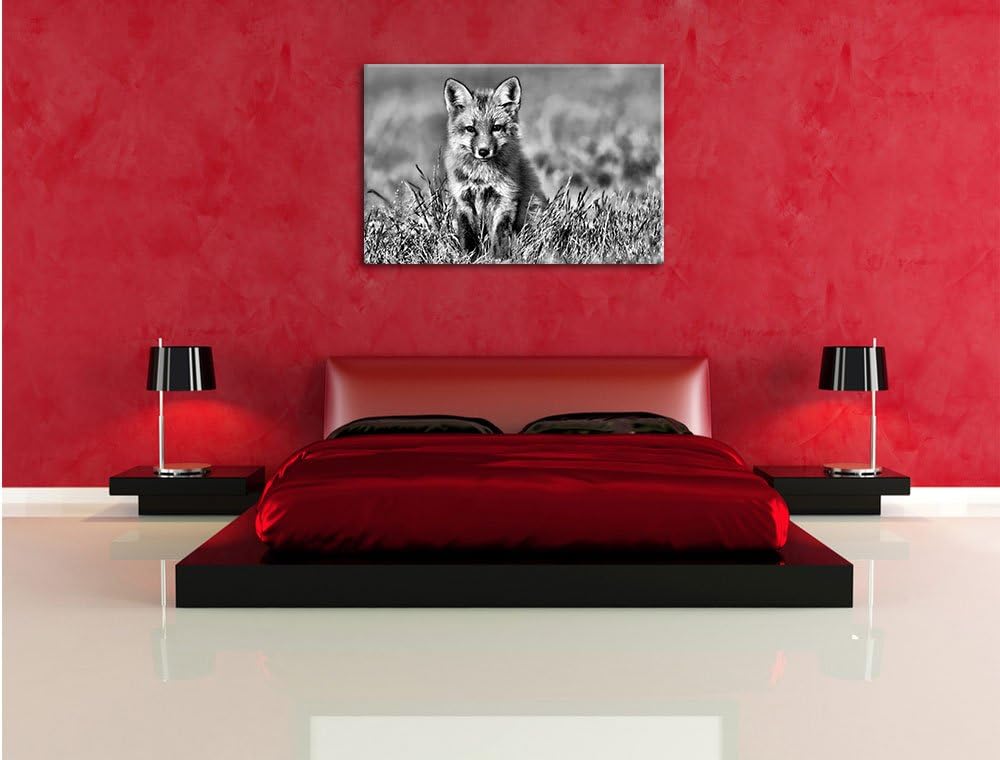 Monocrome, Kleiner Fuchs , Format: 100x70 auf Leinwand, XXL riesige Bilder fertig gerahmt mit Keilra