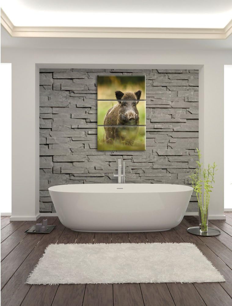 Pixxprint Wildschwein auf Wiese als Leinwandbild | Grösse: 3 Teilig (120x80) | Wandbild| Kunstdruck
