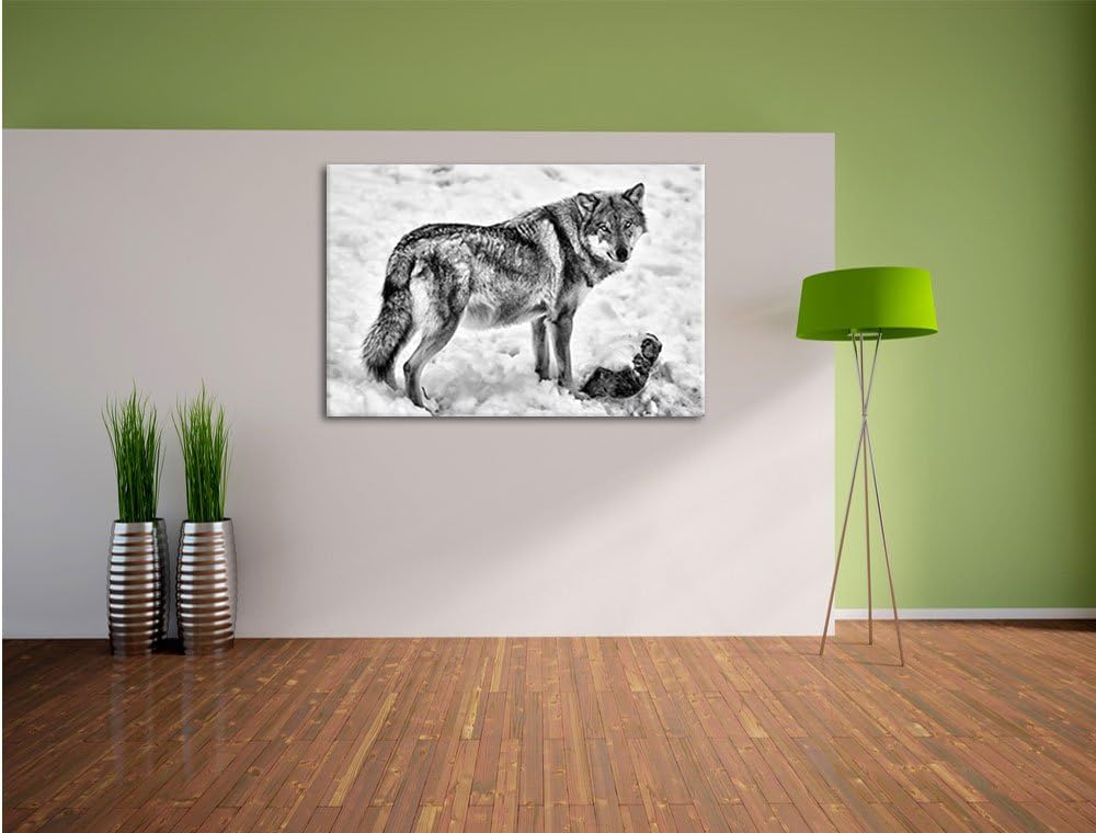 Pixxprint prächtiger Wolf im Schnee als Leinwandbild/Grösse: 100x70 / Wandbild/Kunstdruck/fertig bes