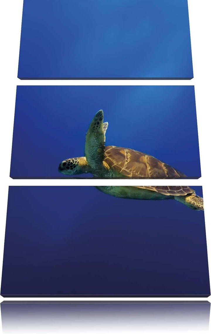 Pixxprint Schildkröte im Meer als Leinwandbild/Grösse: 3 Teilig (120x80) cm/Wandbild/Kunstdruck/fert