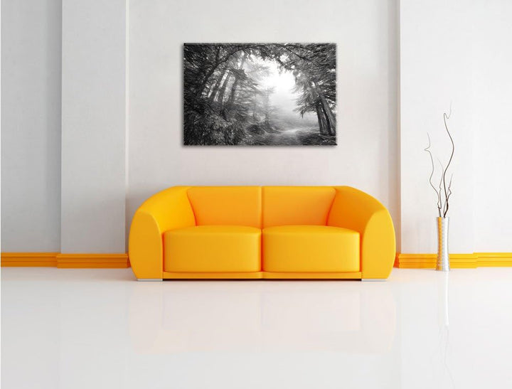 Pixxprint Sonnenstrahlen Waldweg als Leinwandbild/Grösse: 100x70 / Wandbild/Kunstdruck/fertig bespan