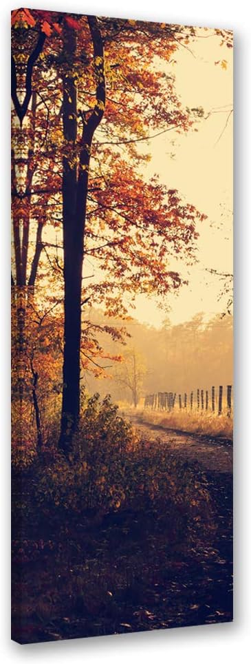 Febby Vlies Leinwandbild XXL Waldweg 50x150 cm Wandbild Kunst Bilder Schlafzimmer Deko Wohnzimmer He