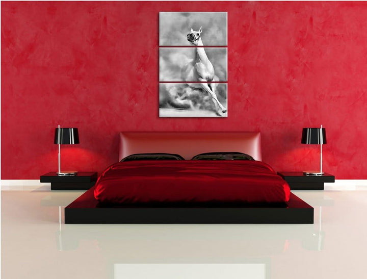 Pixxprint Weisses Pferd in der Wüste als Leinwandbild/Grösse: 3 Teilig (120x80) cm/Wandbild/Kunstdru