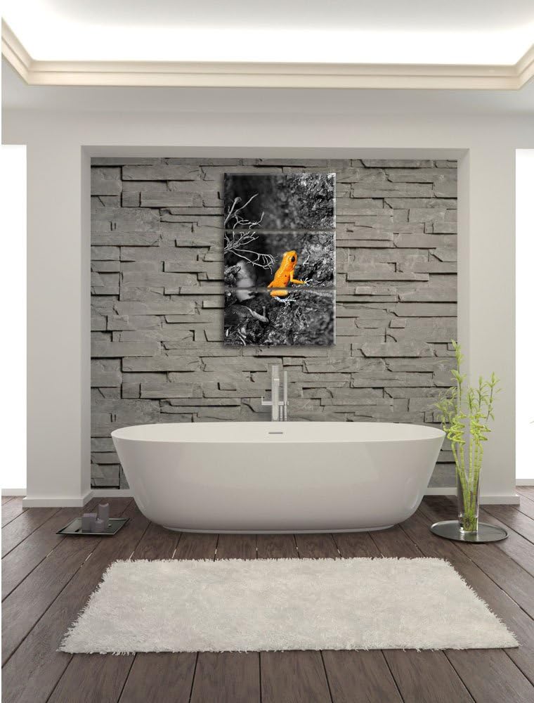 Pixxprint giftiger Kleiner Frosch als Leinwandbild/Grösse: 3 Teilig (120x80) / Wandbild/Kunstdruck/f