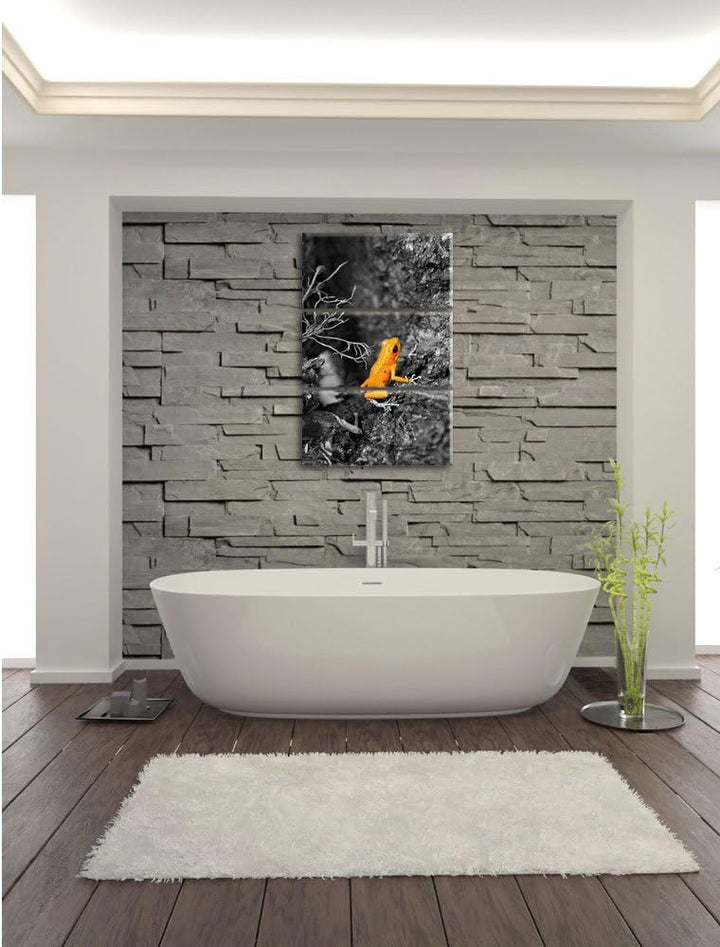 Pixxprint giftiger Kleiner Frosch als Leinwandbild/Grösse: 3 Teilig (120x80) / Wandbild/Kunstdruck/f