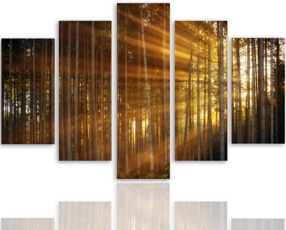Feeby Wandbild XXL 5 Teilig Natur Leinwandbild Sonnenuntergang Bäume orange 300x140 cm Leinwandbild