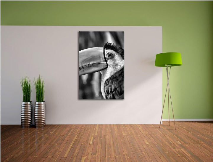 Monocrome, schöner Tukan, Format: 100x70 auf Leinwand, XXL riesige Bilder fertig gerahmt mit Keilrah