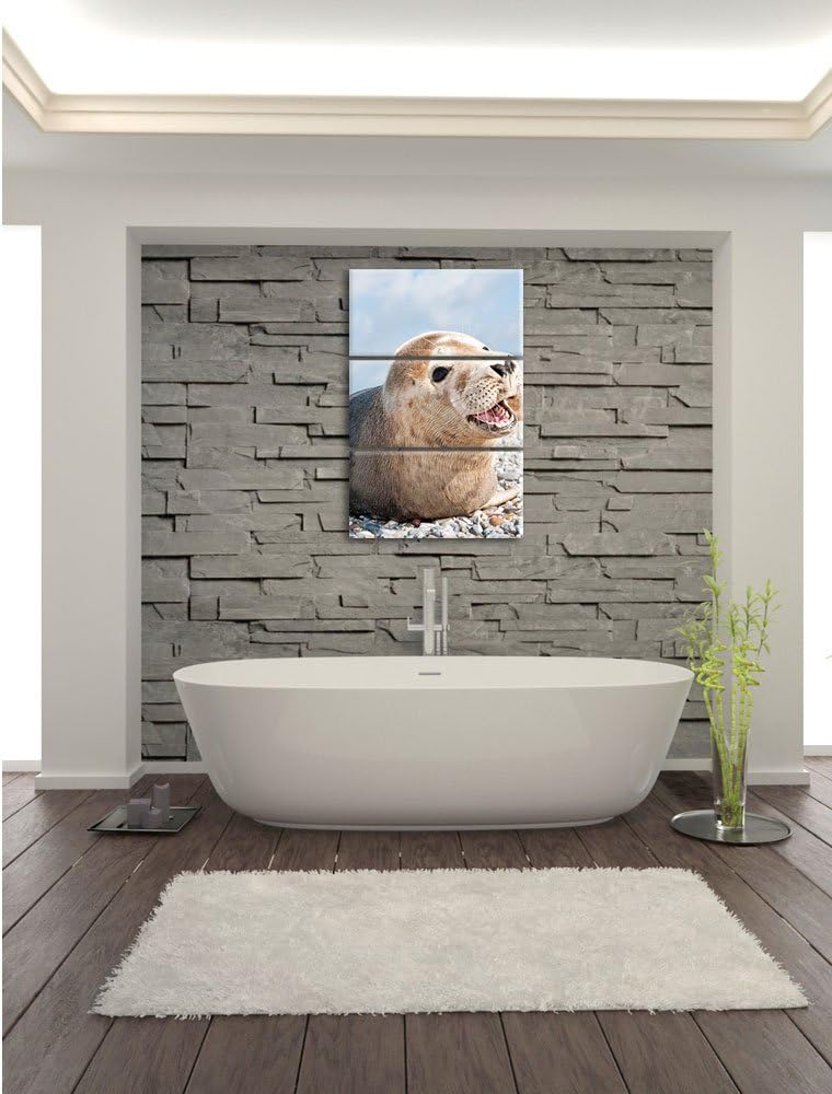 Pixxprint Süsse Robbe auf Steinstrand als Leinwandbild/Grösse: 3 Teilig (120x80 cm) cm/Wandbild/Kuns