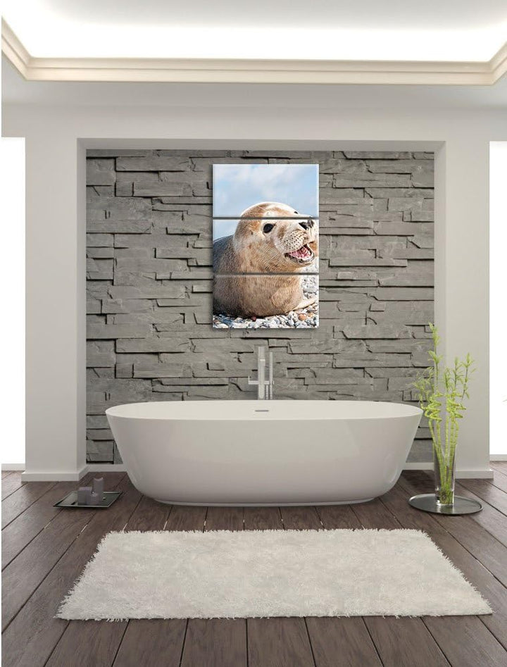 Pixxprint Süsse Robbe auf Steinstrand als Leinwandbild/Grösse: 3 Teilig (120x80 cm) cm/Wandbild/Kuns