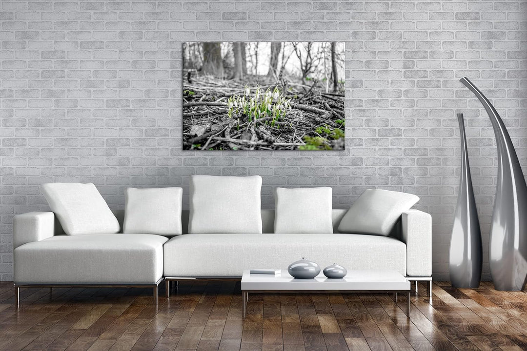 deyoli Der Frühling kommt - wachsende Schneeglöckchen Format: 80x60 als Leinwand, Motiv fertig gerah