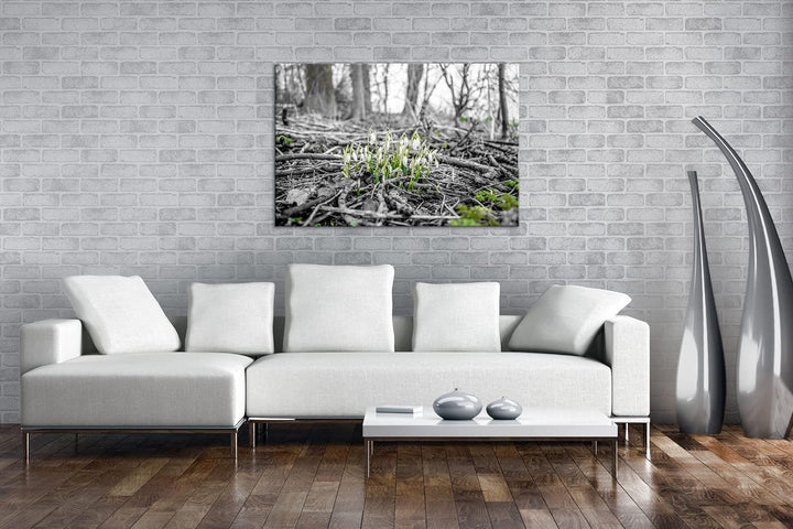 deyoli Der Frühling kommt - wachsende Schneeglöckchen Format: 80x60 als Leinwand, Motiv fertig gerah
