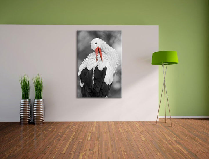 anmutiger grosser Storch putzt sich schwarz/weiss auf Leinwand, XXL riesige Bilder fertig gerahmt mi