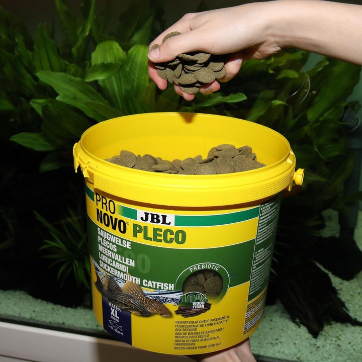 JBL PRONOVO PLECO WAFER, Futterwafer für Saugwelse von 15-40 cm, Fischfutter, Grösse XL, 5,5 l ProNo